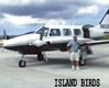 Island Birds in Vieques