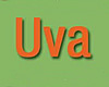 Uva in Vieques