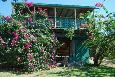 Amarilla Casita