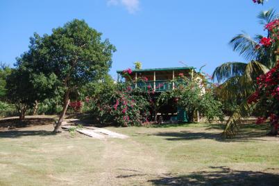 Amarilla Casita