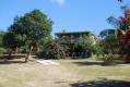 Amarilla Casita