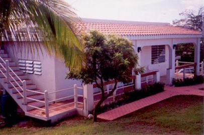 Vivo Grande