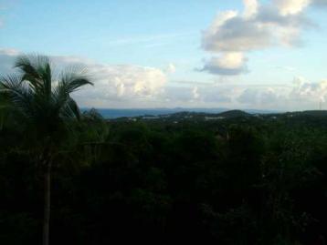 The View