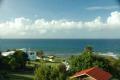 The View
