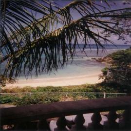 The View