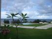 Backyard Panoramic View