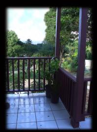 View from Porch