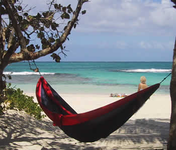 Beach in Vieques, Puerto Rico