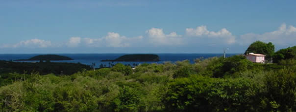 Views of the Caribbean